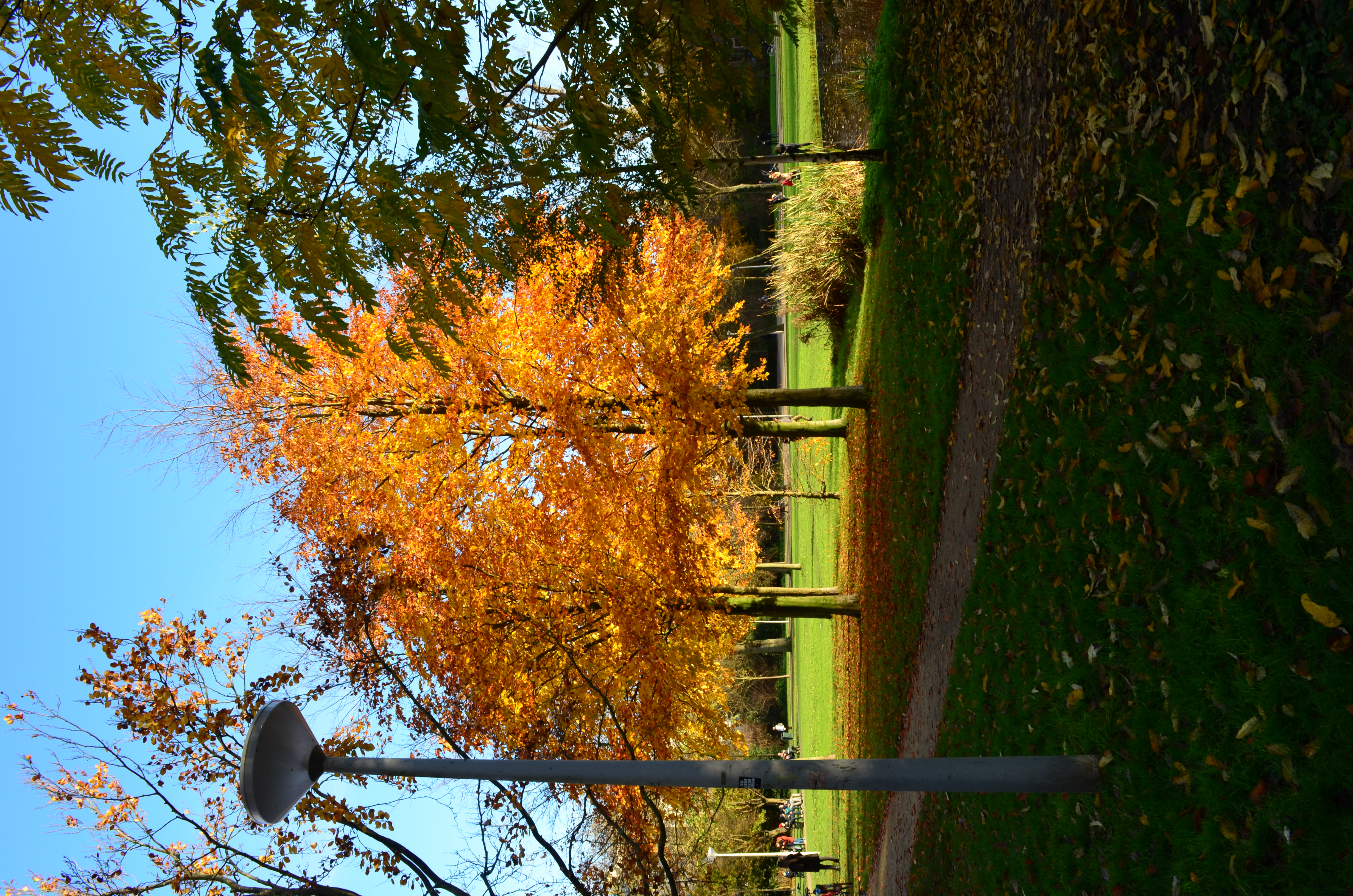 ./2017/19 - Viking Lif/13 - Amsterdam, The Netherlands/DSC_0612.JPG